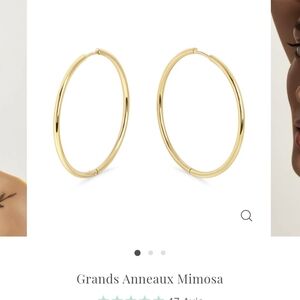 Elegant Gold Hoop Earrings